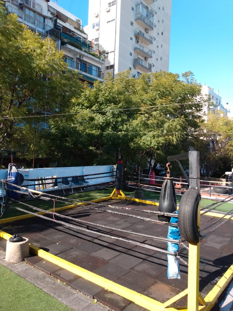 Ring y bolsas de Solo Box Gym